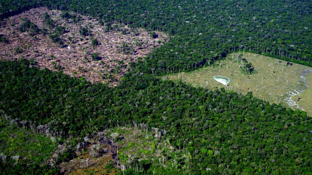 Desmatamento nos biomas do Brasil cresceu 22,3% em 2022