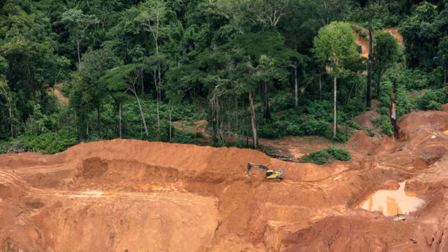 Desmatamento na Amazônia tem queda no primeiro semestre de 2023