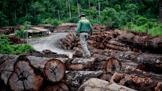 Dia da Amazônia: apesar de melhoras em indicadores, organizações apontam que ainda há muito a ser feito