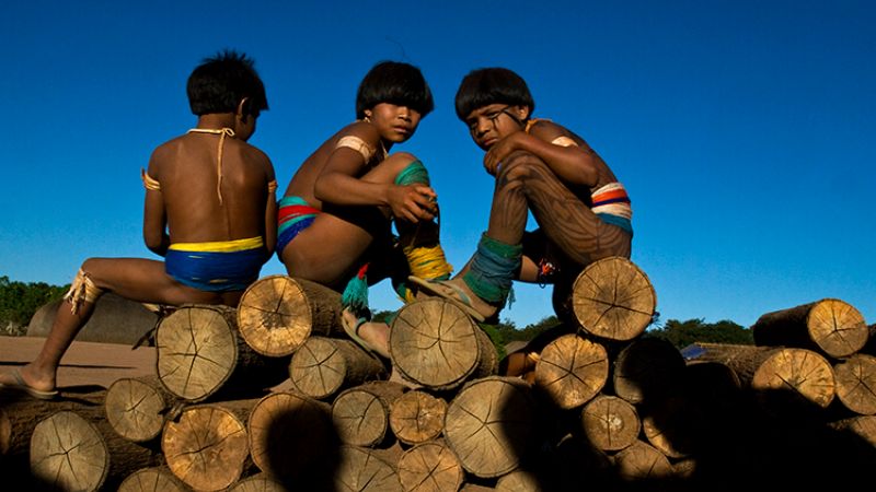 Fiocruz-Harvard: estudo in&eacute;dito revela aumento de suic&iacute;dios entre jovens  ind&iacute;genas no Brasil - ANDI &ndash; Comunica&ccedil;&atilde;o e Direitos