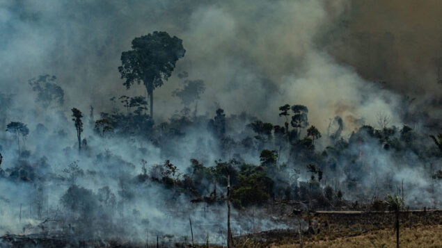 Queimadas ameaçam ganhos do combate ao desmatamento, alertam cientistas