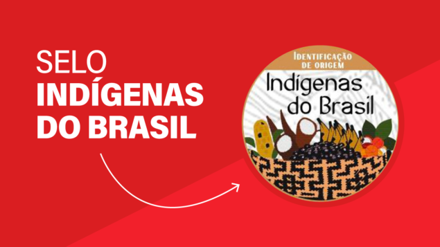 Governo recria Selo Indígenas do Brasil para identificar e valorizar a produção dos povos originários