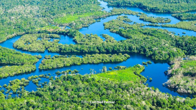 Apenas 7% dos Objetivos de Desenvolvimento Sustentável avançam satisfatoriamente no Brasil