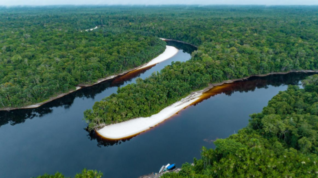 Amazônia sofreu uma perda de florestas quase equivalente ao tamanho da Colômbia, revela análise do MapBiomas