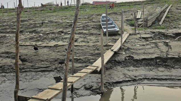 Unicef relata casos fatais de desnutrição infantil na Amazônia atingida pela seca