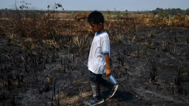 Número de crianças desacompanhadas e separadas migrando na América Latina e no Caribe bate recorde