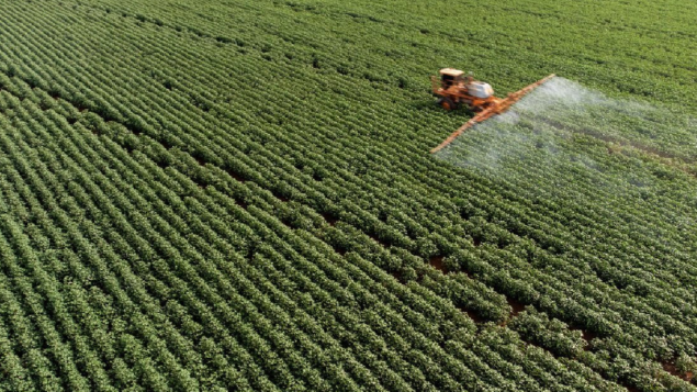 Organizações ambientais apoiam ação contra agrotóxicos no STF