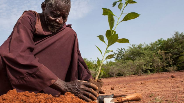 Secas e degradação da terra já afetam quase metade da população mundial