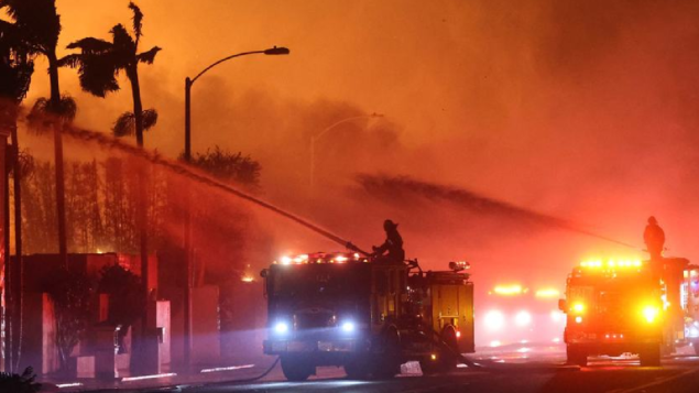 FAO: Aumento de incêndios no mundo ameaça Brasil e Portugal