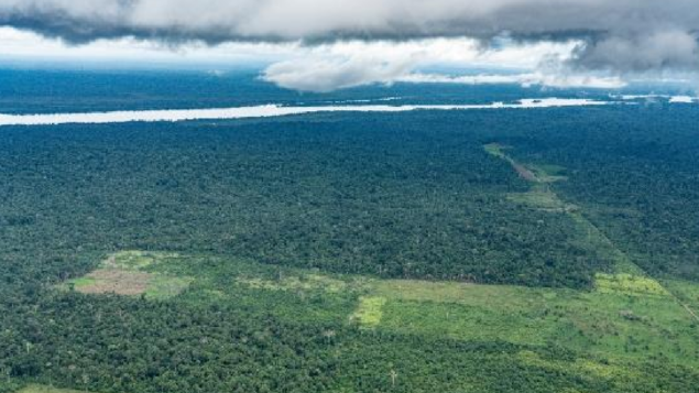 Terras Indígenas na Amazônia e no Cerrado protegem uma área de vegetação nativa maior que o estado de Mato Grosso