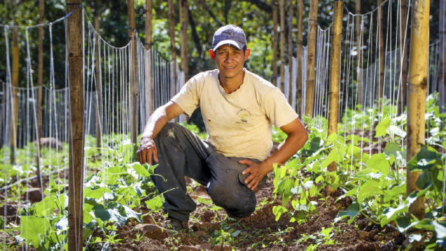 ONU: Eventos climáticos extremos afetam segurança alimentar de 74% dos países da América Latina e do Caribe