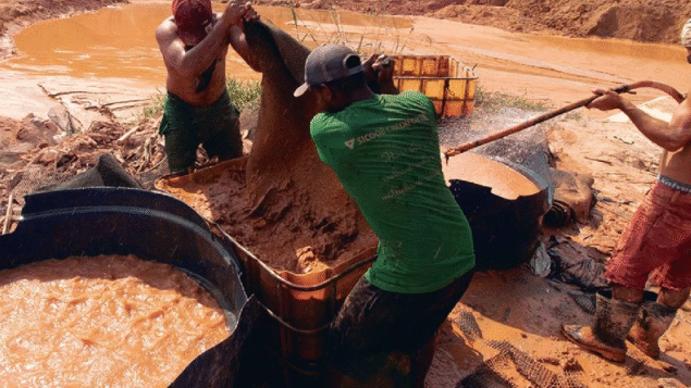 Brasil sofre com conexão entre crimes florestais, tráfico e mineração, diz agência