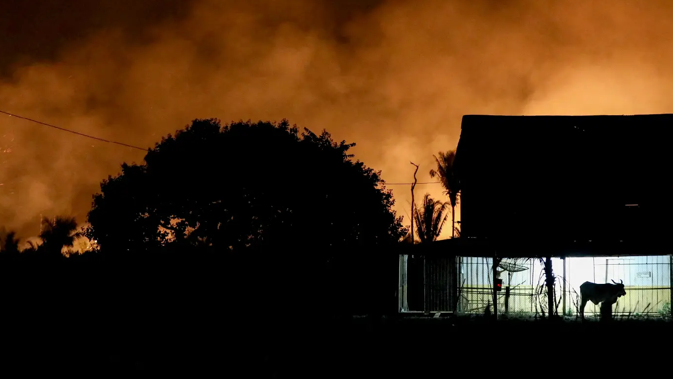 PL da Devastação: o vale-tudo proposto pelo projeto de lei que muda o ...