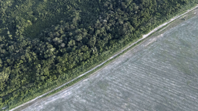Organismos internacionais alertam para riscos do projeto que enfraquece licenciamento ambiental no Brasil