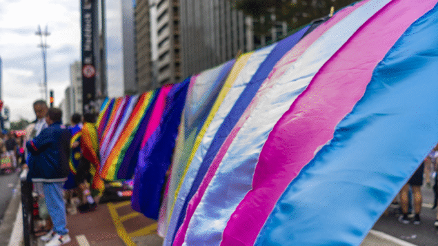 Direitos LGBTQIA+ nos parlamentos brasileiros: avanços, ameaças e resistência