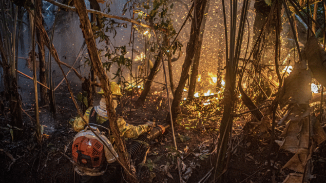 Desmatamento na Amazônia sobe 91% em maio
