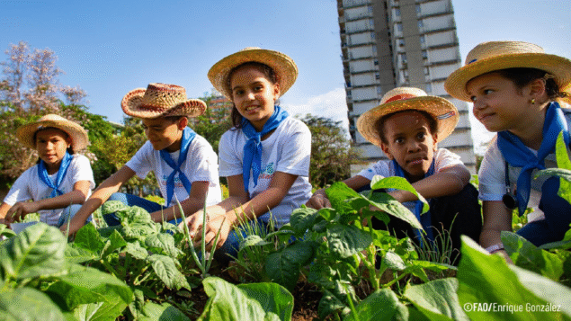 Estudo apresenta avanços em políticas de alimentação escolar em 16 países da América Latina