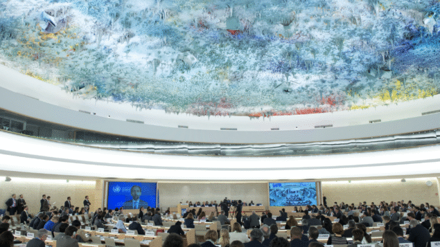 Conectas leva à ONU alerta sobre PL que ameaça o Licenciamento Ambiental