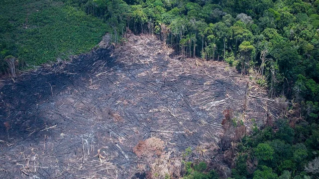 PL da Devastação ameaça biomas e produção agrícola do Brasil