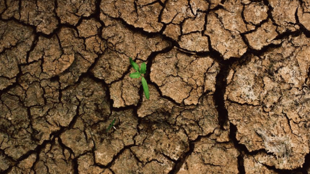 Relatório global sobre seca destaca impactos humanos e econômicos