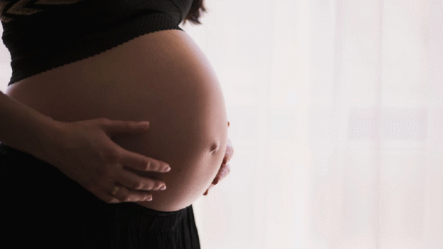 Estudo encontra microplásticos em placentas de gestantes brasileiras