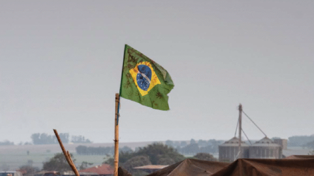Relatório Violência Contra Povos Indígenas no Brasil – 2024: primeiro ano de vigência da Lei do Marco Temporal foi marcado por conflitos e violência contra povos em luta pela terra