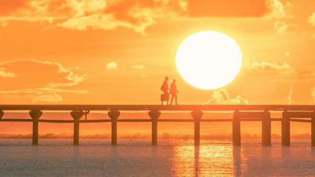Após um ano do Apelo contra Calor Extremo, OMM ressalta necessidade de alertas