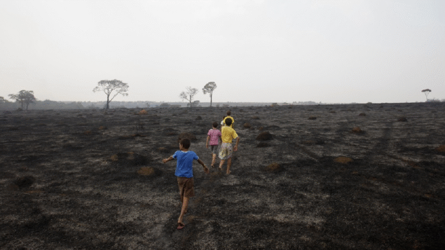 Conanda define parâmetros para proteção de crianças e adolescentes diante da mudança do clima