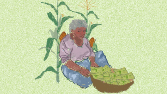 Crise climática ameaça produção agroecológica no Brasil