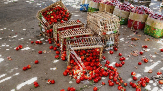 Mundo tem de zerar desperdício de alimentos para combater mudança climática