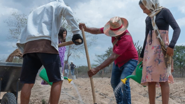 Desastres naturais custaram US$ 3,26 trilhões à agricultura global em três décadas, diz FAO