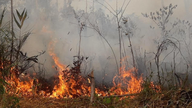 FAO: 1,7 bilhão de pessoas sofrem com redução do rendimento agrícola devido à degradação