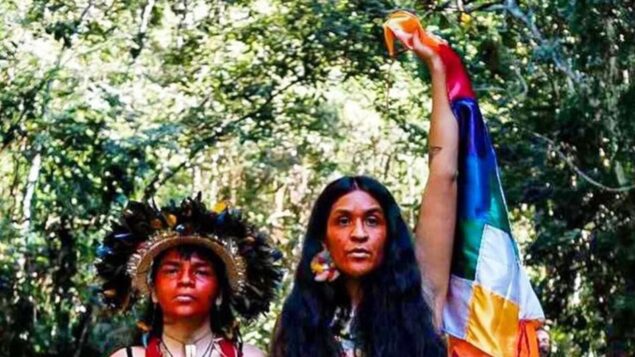 Especialistas em direitos humanos condenam ataque mortal a indígenas no Brasil