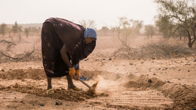 COP30 precisa acelerar ritmo dos planos de adaptação, diz chefe de clima da ONU