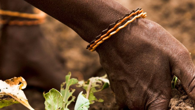 Gestão sustentável da terra, solo e água é decisiva para alimentar 10 bilhões