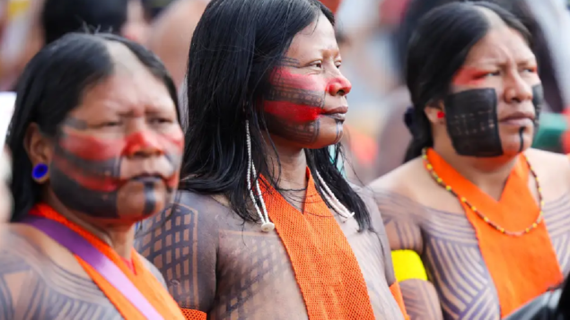 Campanha vai aplicar 89 mil doses de vacinas em territórios indígenas