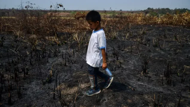 Quase metade das crianças do mundo está exposta a pelo menos três ameaças climáticas